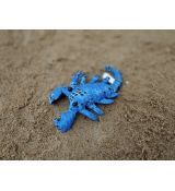 Škorpion - S modrá
