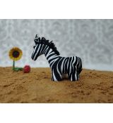 Zebra - M