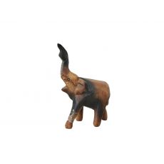 Slon s chobotem nahoru